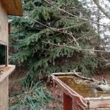 photo 2021-11-19 13-59-15