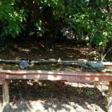 photo 2021-09-26 11-47-13