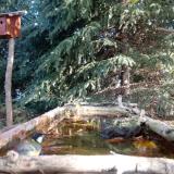 photo 2023-10-16 09-56-55