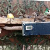 photo 2021-02-02 09-45-43