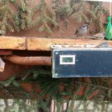 photo 2021-02-27 11-21-01