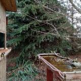 photo 2021-11-19 14-27-27