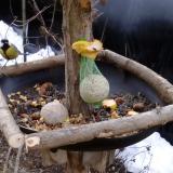 photo 2019-01-17 08-25-05