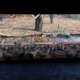 photo 2021-11-25 14-03-40