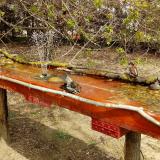 photo 2021-04-06 12-52-24