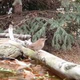 photo 2023-10-20 14-31-41 okorszem