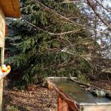 photo 2021-12-15 10-24-32