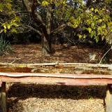 photo 2021-10-19 13-25-12