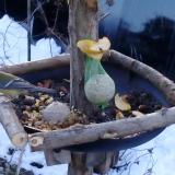 photo 2019-01-14 08-31-41