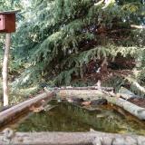 photo 2023-10-11 15-44-11