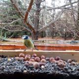 photo 2021-11-04 12-01-17