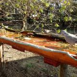 photo 2021-04-05 08-56-30