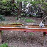 photo 2021-04-19 18-58-04