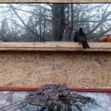 photo 2022-01-20 15-14-39