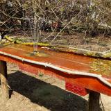 photo 2021-03-31 13-51-31