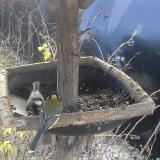 photo 2019-12-27 09-33-33