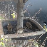 photo 2019-12-26 09-25-24