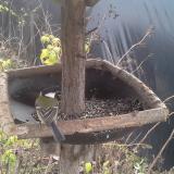 photo 2019-12-21 10-37-59