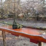 photo 2021-03-20 07-19-28