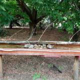 photo 2021-07-13 16-53-37