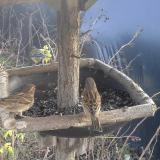 photo 2019-12-26 12-35-28