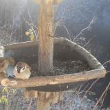 photo 2019-12-30 11-28-48