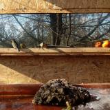 photo 2022-01-24 12-28-56