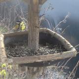 photo 2019-12-27 11-12-17