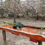 photo 2021-03-24 08-46-20