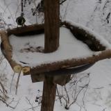 photo 2019-01-05 10-57-29