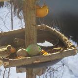 photo 2019-01-27 09-14-36