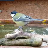 photo 2023-10-28 12-27-33 szencinege