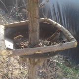 photo 2019-03-01 10-11-30