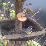 photo 2019-12-05 11-21-29