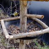 photo 2019-01-02 13-19-19