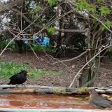 photo 2021-04-17 16-48-30 rigok