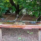 photo 2021-07-17 19-24-06