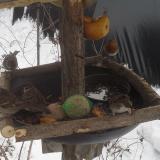 photo 2019-01-27 11-44-03