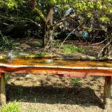 photo 2021-04-21 11-02-24