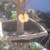 photo 2019-12-03 10-10-14