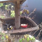 photo 2019-12-06 10-57-16