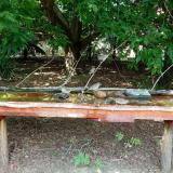 photo 2021-07-24 14-49-57