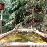 photo 2023-10-12 13-28-27