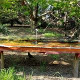 photo 2021-04-27 16-18-29