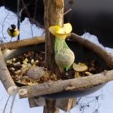 photo 2019-01-12 15-06-46