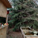 photo 2021-12-18 13-55-12