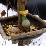 photo 2019-01-13 10-10-38