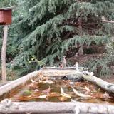 photo 2023-10-20 08-37-06