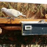 photo 2021-03-08 11-47-48