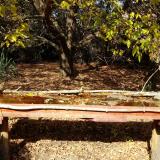 photo 2021-10-19 13-22-58